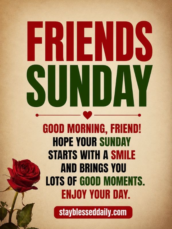 Friends Sunday good morning blessing image with beautiful rose background, friendship wishes, Happy Sunday greeting, and stayblesseddaily.com.