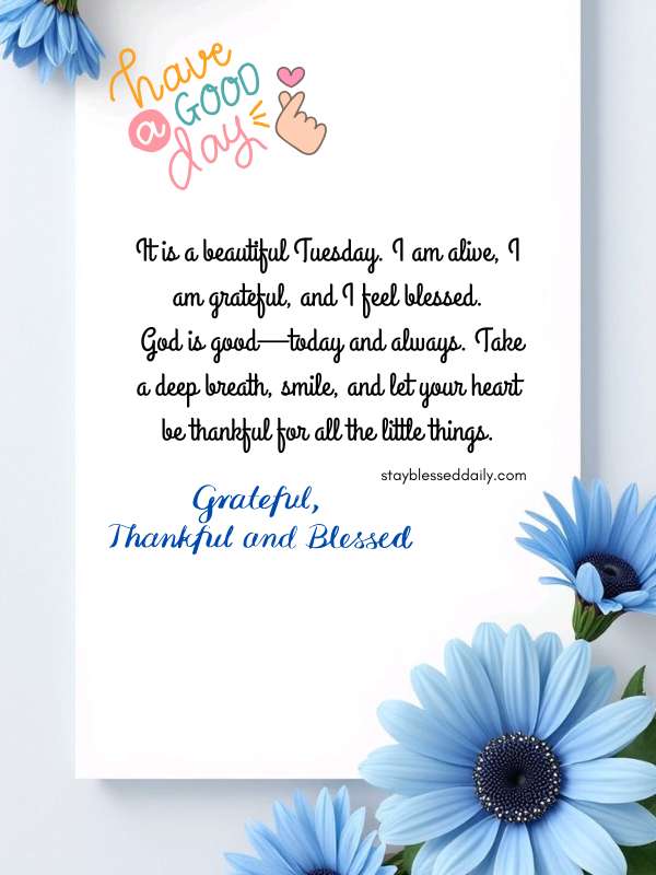 Positive tuesday blessings - Be grateful and stay blessed