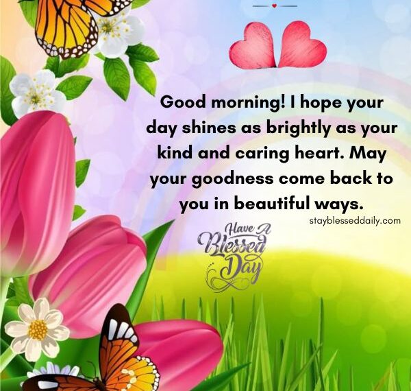 99+ Happy Wednesday Blessings and Prayers to Inspire Your Day