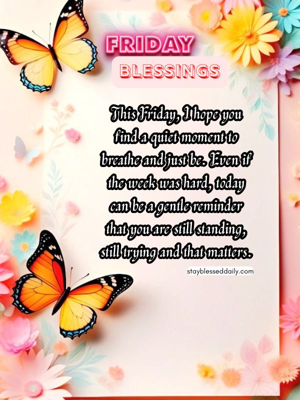 friday blessings - I hope you find a quiet moment to breathe