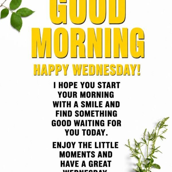 230+ Good Morning Wednesday Midweek Blessings, and Quotes