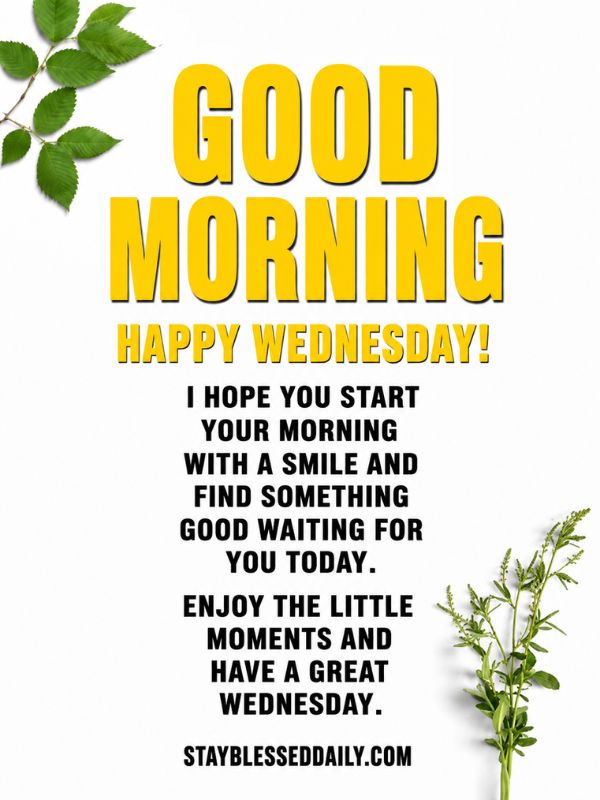 230+ Good Morning Wednesday Midweek Blessings, and Quotes