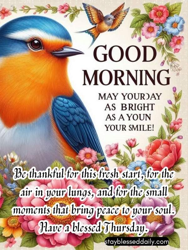 Thankful Thursday Morning Blessings - Be thankful for this fresh start, for the air in your lungs, and for the small moments that bring peace to your soul. Have a blessed Thursday.
