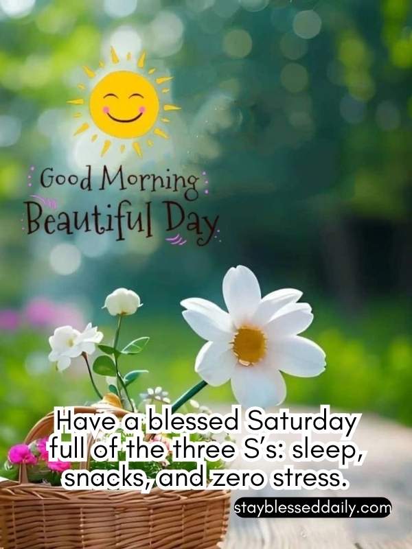 Funny Saturday Blessings - Have a blessed Saturday full of the three S’s: sleep, snacks, and zero stress.