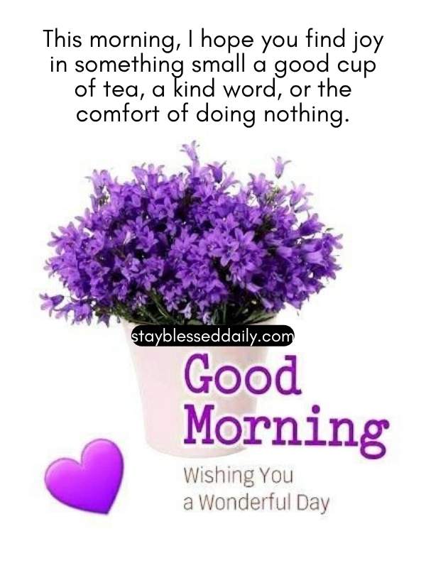 good morning saturday, I hope you find joy in something small