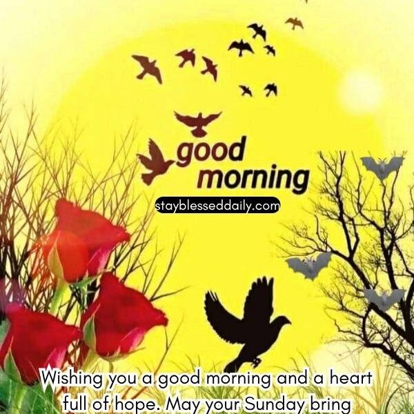 Good Morning Sunday Blessings Prayers and Blessed Images