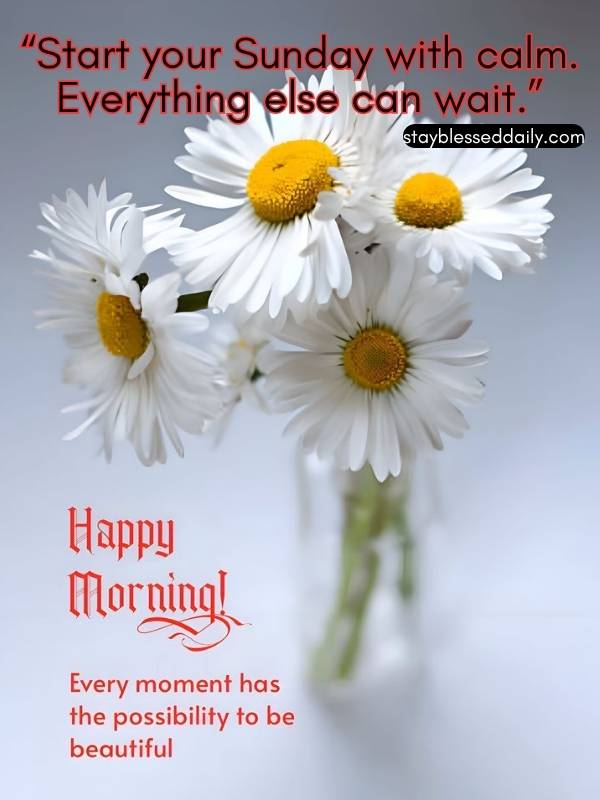 Good Morning! “Start your Sunday with calm. Everything else can wait.”