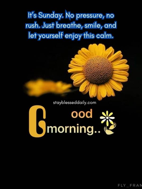 Happy Good Morning Text Blessings for Sunday