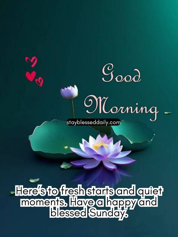 Good Morning! Have a happy and blessed Sunday.