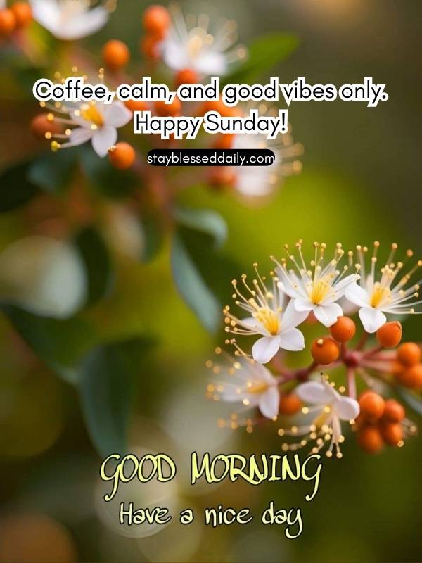 Have a Blessed Sunday - Coffee, calm, and good vibes only. Happy Sunday!