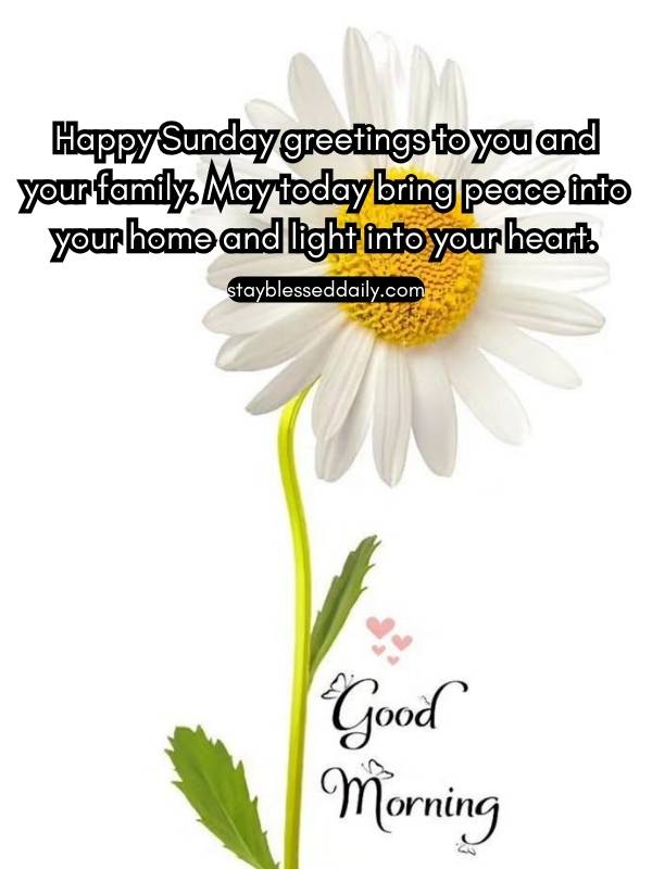 Happy Sunday greetings to you and your family.