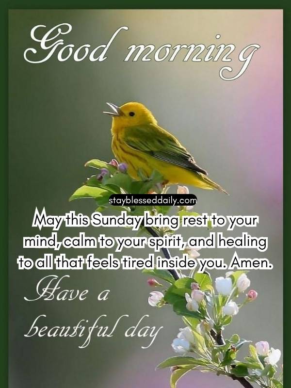 Sunday Morning Prayers - May this Sunday bring rest to your mind, calm to your spirit,