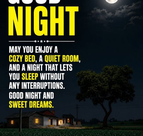 230+ Sweet Good Night Blessings and Prayers Before Bedtime